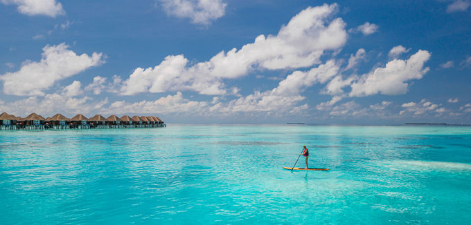 ��x�͍s����������̃��]�[�g�I�����f�B�u�̋C�ɂȂ�C��́H