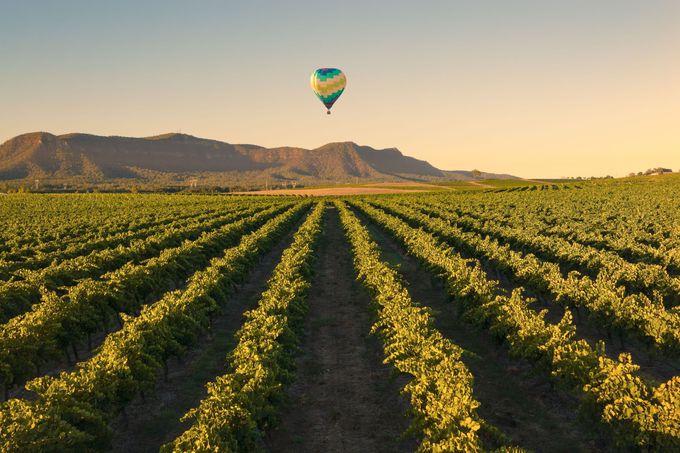 ���܂��Ċy���݂����I�j���[�E�T�E�X�E�E�F�[���Y�B�̃��[�W����