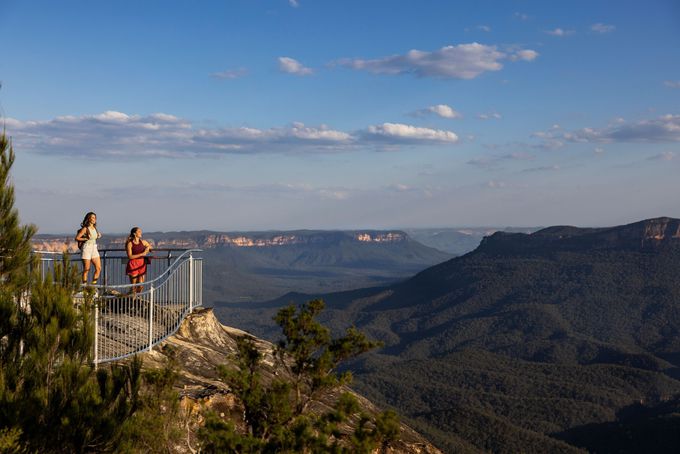 �V�h�j�[��������Ȃ��I�j���[�E�T�E�X�E�E�F�[���Y�̓f�C�g���b�v���ʔ���