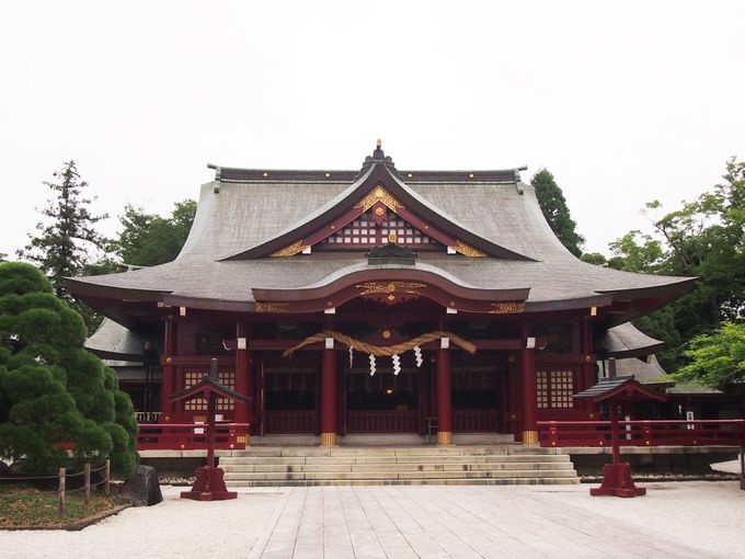 茨城 笠間稲荷神社 樹齢四百年 葡萄の房のような八重の藤と本殿美麗彫刻は必見 茨城県 Lineトラベルjp 旅行ガイド