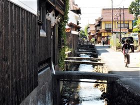 �����������݂Ƀp���X�|�A�O�����I�q�g�E���Ǔy���Q�̖���