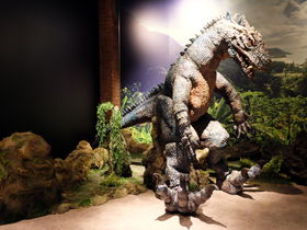 �A�j��������j�܂ŁI�~�`���� ����悵�t�B�M���A�~���[�W�A��