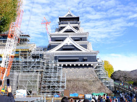 �����������Ȃ��I���X�����𐋂���M�d�Ȏp�u�F�{��v���ʌ��J