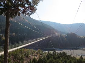 HoXȂ̂ɏԎԂ630!?{ꋗ̒uؐV{}oXvŏ\Ð쑺̒݋ŰLTlC