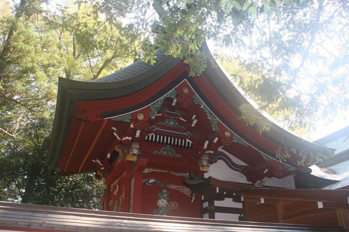 {áAsw蕶