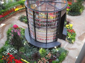 ��N���`���[���b�v���I�x�R�E�v�g�u�`���[���b�v�l�G�ʊفv�̋L���T���l�C��