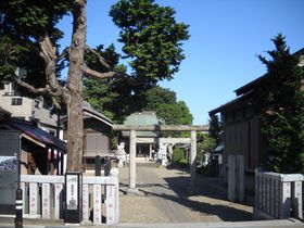 ��t�E���R�Łg�x�m�o�R�h��̊�!?�u���R��Ԑ_�Ёv�̋L���T���l�C��