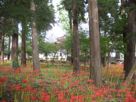 ƍN̑gPh350NIE푍uOov̋LTlC