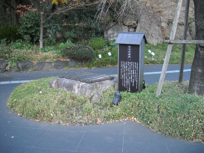 uɓvɂ́AgƋgOhǂJĂ