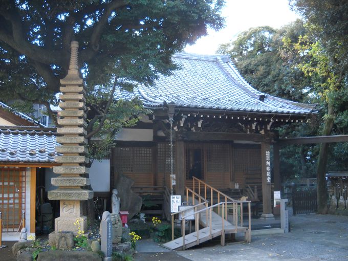 uɓvɂ́AgƋgOhǂJĂ