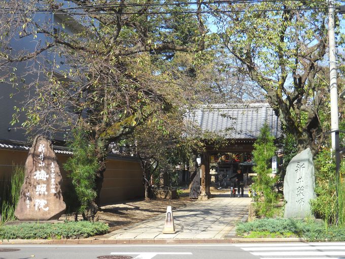 「新井薬師」は新東京百景のひとつ