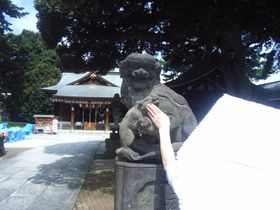 “子育て狛犬”を撫で安産祈願！東京・中野沼袋氷川神社