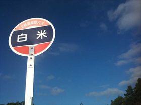 �\�o�Ő�l�Ɏv�����͂��闷�̋L���T���l�C��