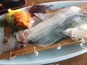 ���ꌧ�E�Ďq�ŐV�N�ȃC�J�ƊC�𖞋i�̋L���T���l�C��