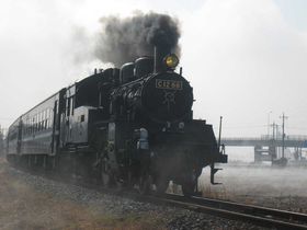 SL���������ɏ���ĉv�q�ւ��C�ɓ���̊��T�����̋L���T���l�C��