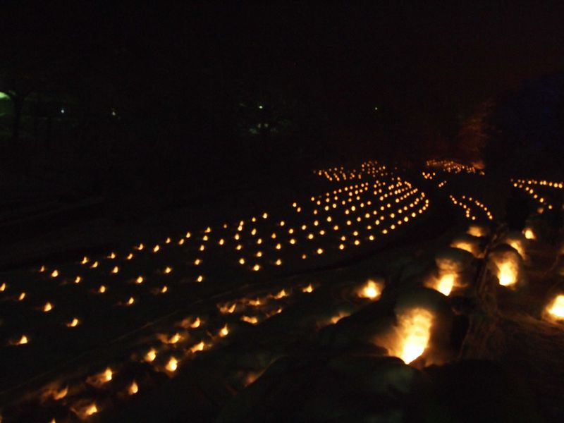 夜景遺産　銀世界を無数のゆらめく灯りで彩る「湯西川温泉かまくら祭」