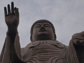 �S�Â��Ɏʌo�̌��@���E��傫���啧�l�̂��ٓ��ňꕶ���ꕶ���Ɏv�������߂Ă̋L���T���l�C��