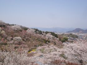 ���O����ǂ������ĕ����̓������ց@�R������������߂�Ԍ��R�E�H�[�N�̋L���T���l�C��