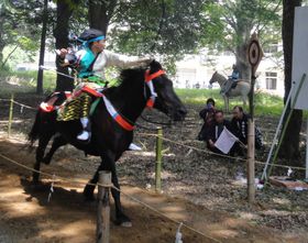 ���������̉ԍ炭�u���_�Ёv�̒��`�������������L�n�_���@�y��錧���Ȏs�z�̋L���T���l�C��