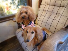 �����ƈꏏ�ɗ����悤�I�I ���������V���E�ߐ{�����̌��A��OK�̂��H�����Əh�̋L���T���l�C��