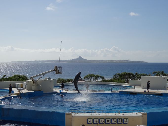 ２日目：「沖縄美ら海水族館」は朝一で訪れると快適