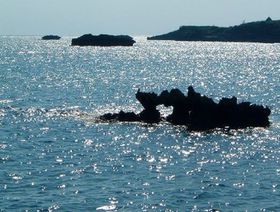 LOVE❤����n�[�g�X�|�b�g�܂Ƃ� CM�Řb��n�[�g���b�N����m��ꂴ�錊��܂ł̋L���T���l�C��