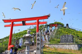 �󂩂�u�^�v���~���Ă���E�~�l�R�������ˎs �����_�Ђ̋L���T���l�C��