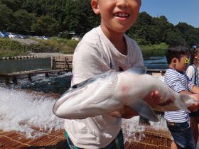 鮎を素手でつかみ取り!那須烏山の那珂川でやな漁と炭火鮎料理