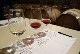 b{w5̘V܃Ci[uSADOYAiThjvŊtĂ痷悤̋LTlC