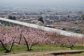 ir[|Cg!!RJsujǍuv͎郊jAی̋LTlC
