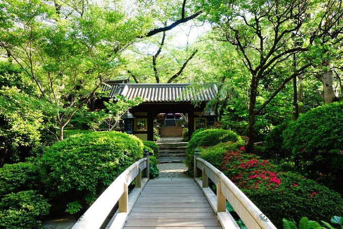 東京にいながら大自然を満喫！庭園を満喫できるホテル