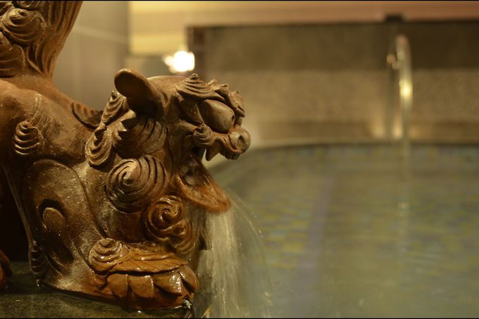 800NO̔Čb݂Ղ܂񂾌򂩂