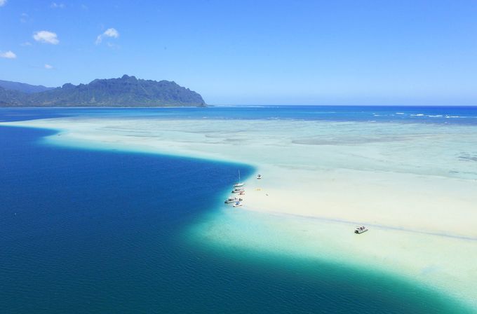 天国の海 はハワイで必訪 カネオヘ沖360度の絶景サンドバー ハワイ Lineトラベルjp 旅行ガイド