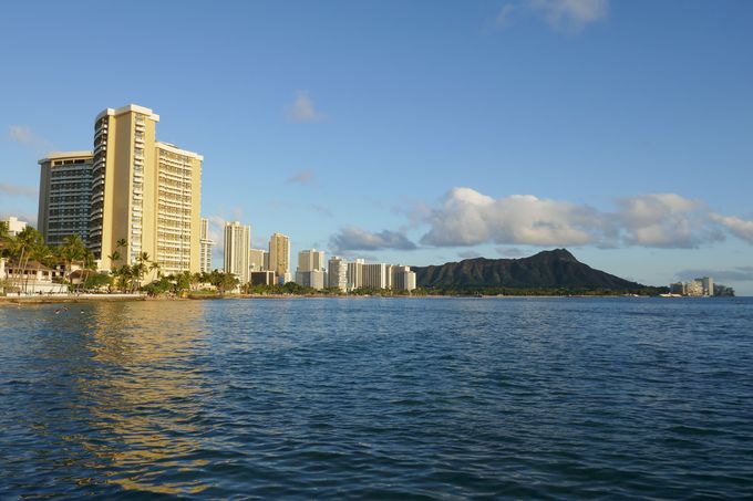 �n���C�̃V���{���u�_�C�������h�E�w�b�h�v�ɓo�낤!!