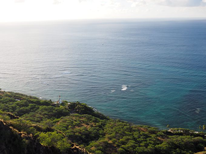 �_�C�������h�E�w�b�h�o�R�̂��J���͍ō��̌i�F