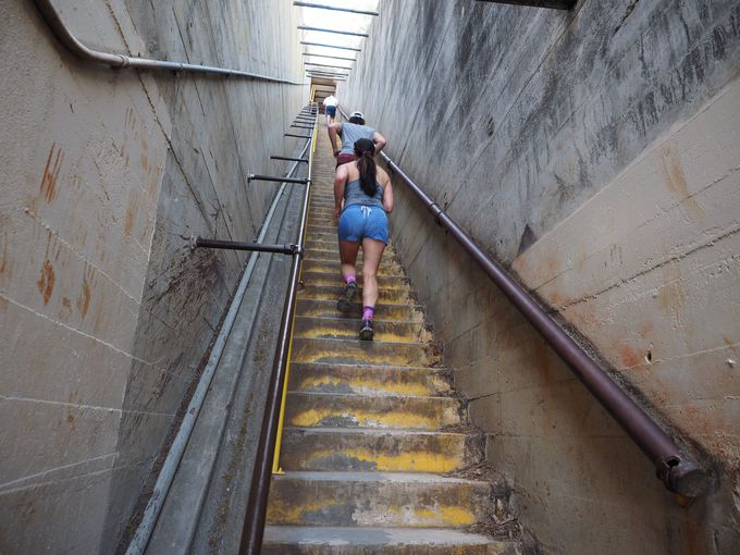 ��i�ւ̓��̂�́u���r�R�[�X�v�u�Ȃ��炩�R�[�X�v�ǂ�����I�ԁH