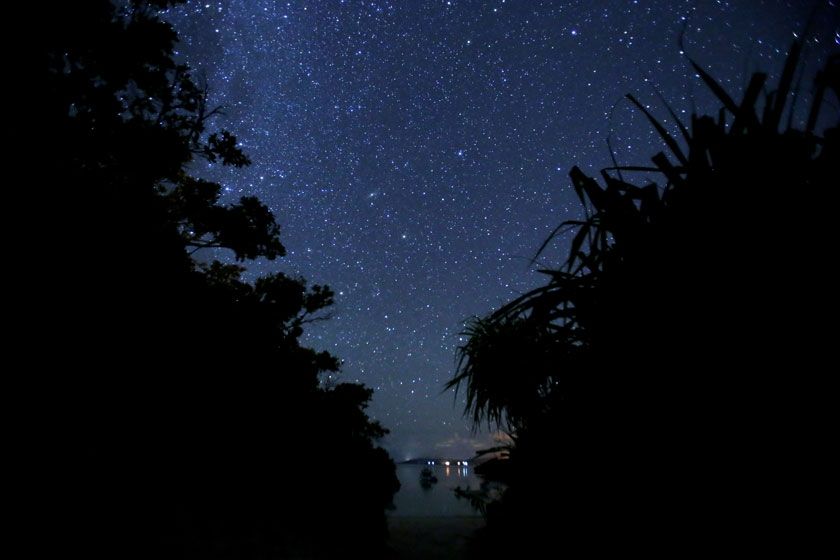 prɉđIׂS10^Cv̑ʂȋq