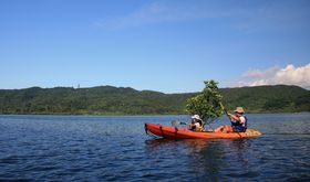 鋫][guzejJiC\vŎqƖ`Ƒs̋LTlC