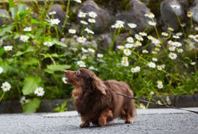 ƂƈꏏR[g[hEoCE}Ibg n̋LTlC