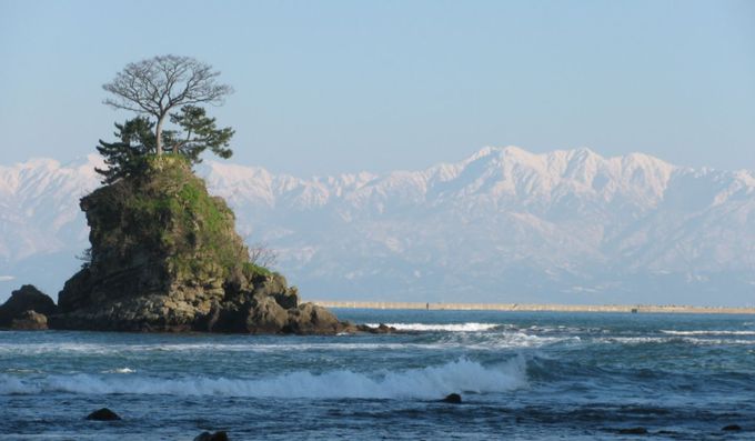 富山県の各自治体でも独自の観光支援策を実施（2）
