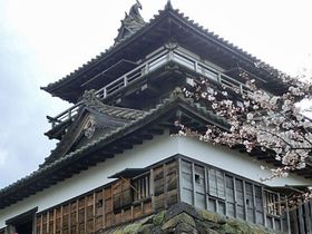 日本の100名城なのに庶民的。福井県丸岡城はお手軽オススメしかも見どころ満載！