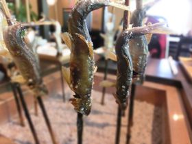頭からガブりっ！富山・庄川 夏の香魚『鮎』料理を堪能！