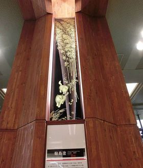 �������ȁI�S���΂̓`���I�H�|�i�����ς��̋���w�͌������ڂ̋L���T���l�C��