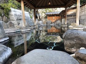 西伊豆「桜田温泉山芳園」20畳の貸切風呂＆療養飲泉も！