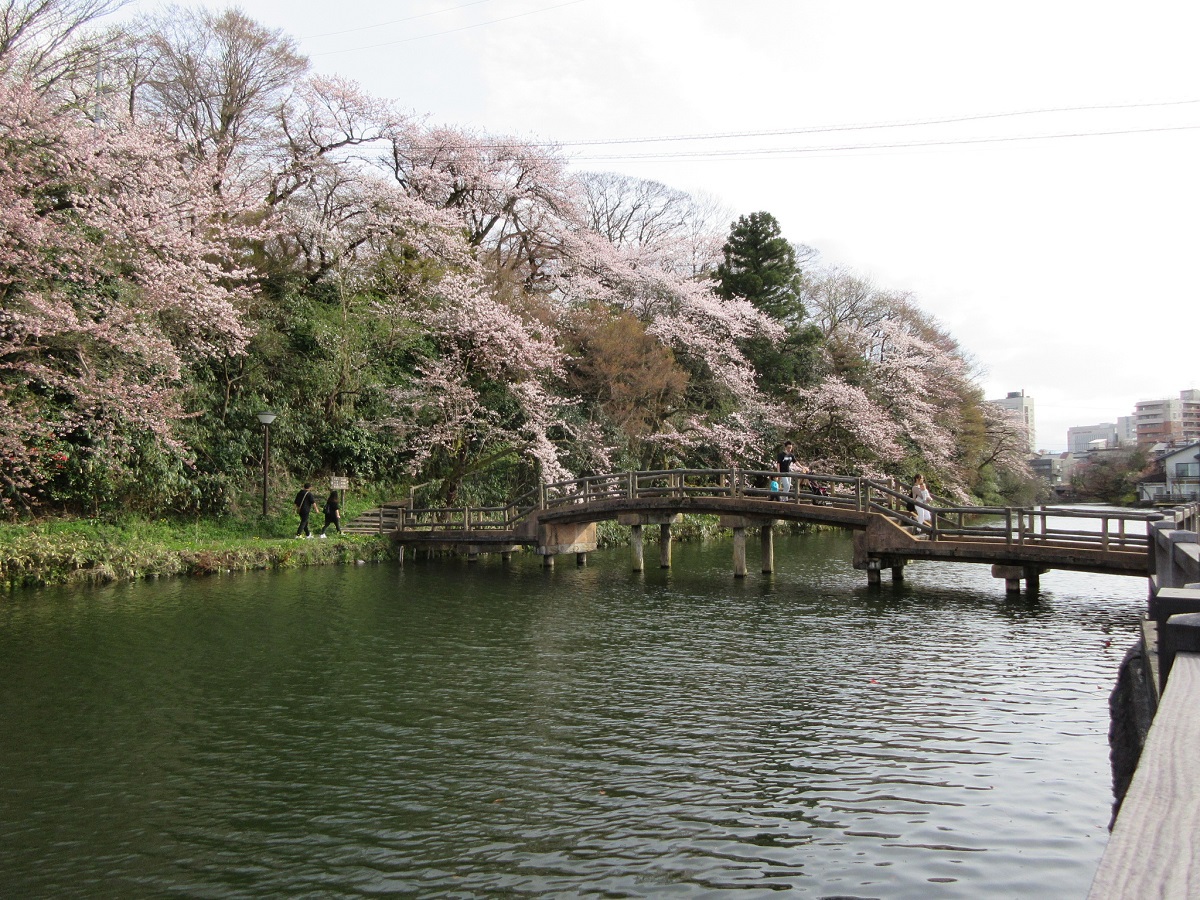 これが水濠だ！富山「高岡城跡」で水濠公園の魅力に浸る