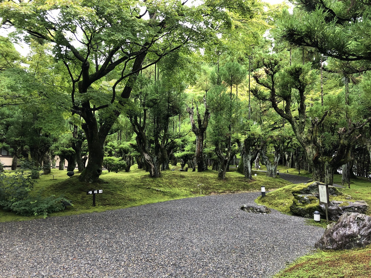 京の隠れ散歩道「しょうざんリゾート京都」で庭園美を堪能！