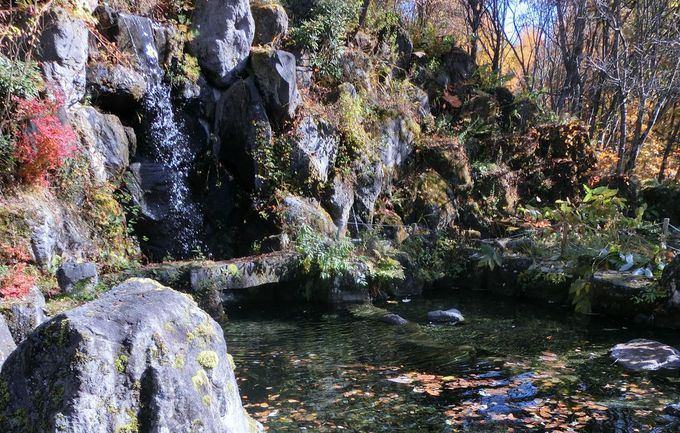 志賀高原を気軽に散策 沓打名水公園 から 澗満滝展望台 へ 長野県 Lineトラベルjp 旅行ガイド