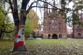 fw琤x̕䃊gAjAAsBjXĂǂȂƂH̋LTlC