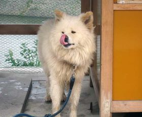 fɂȂHcA킳ɉɍsI\\X˃򒬂̋LTlC