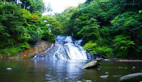 {VkJőꂴ܂\\tssE命쒬̋LTlC